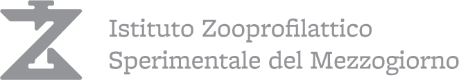 izsm@2x